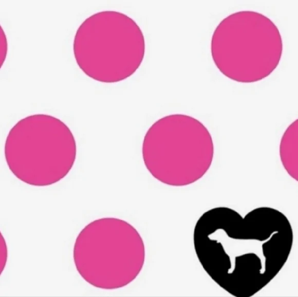 Victoria's Secret PINK VTG Extra Low Rise Cheeky Panty Rainbow Floral Lace NWT - Picture 13 of 13